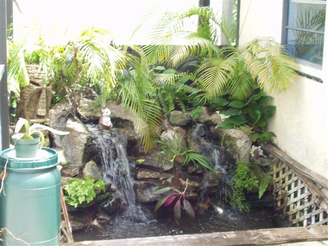 Image 24 of 28  -  60 kB